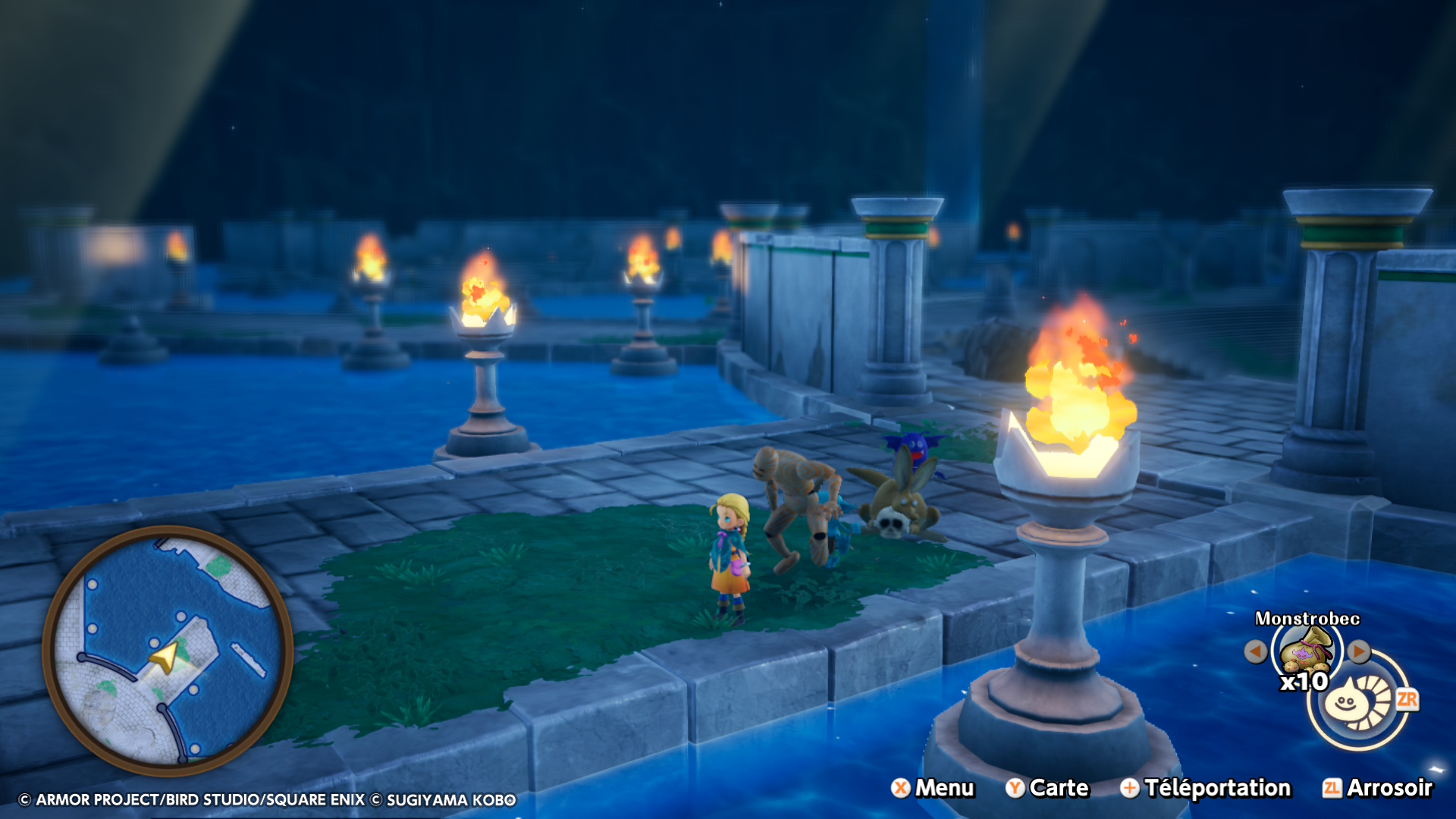 Dragon quest Monster Le Royaume de Boisflétri